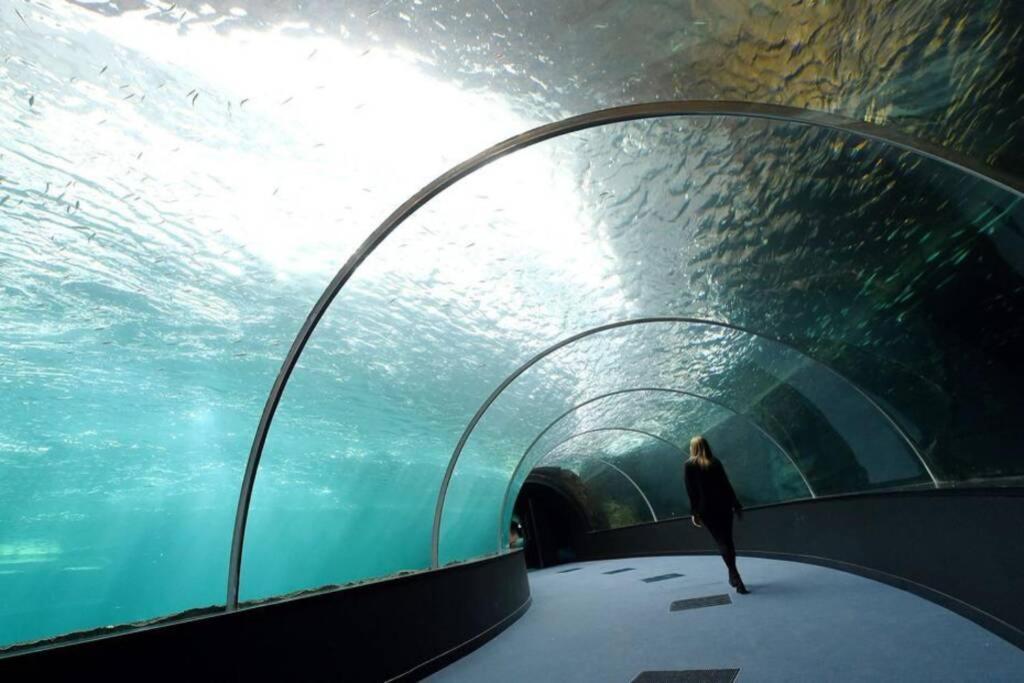 La Perle Marine :Boulogne Sur Mer Ngoại thất bức ảnh